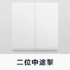 [二位（多控）开关]