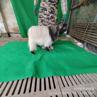 ���B��������ţ���w��ʲôƷ�N ������܇�Č����H���w���U����