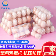 现货整件多规格塑料透明鸡蛋托 鸭蛋托 鹌鹑蛋托 皮蛋托 裹泥皮蛋