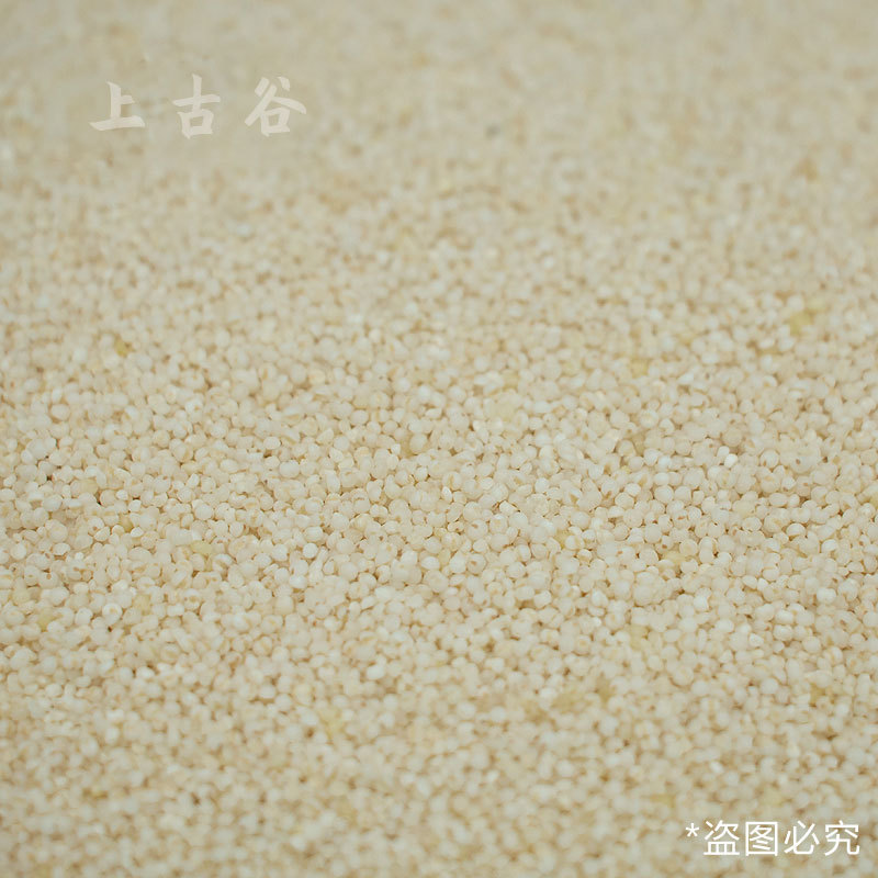 天然小米 白小米绿小米黑小米大黄米