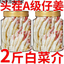 新货泡嫩姜泡仔姜泡姜老坛特产四川酸辣泡姜下饭酸菜