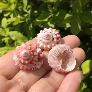 ��������Ȼؐ�������M������ɫ�˱����~��ˮ���쾰�bľ�з��Q