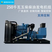 250千瓦玉柴柴油發電機  250KW全銅無刷智能控制 工地養殖消防用