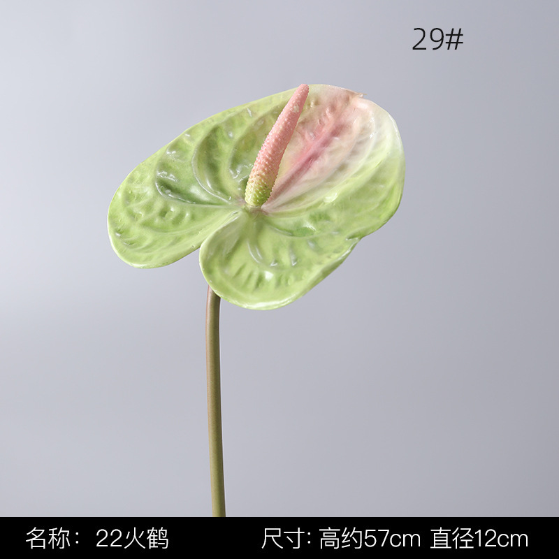 29