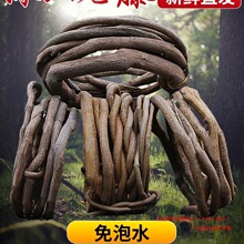 ���ٿ����ٗl�b������҃��̨�ܵ��Gֲ�����~��֦��ֲ��ڒ컨ɫ