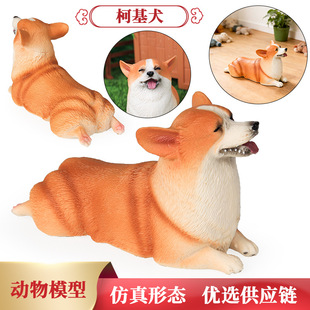 ���挍��С���»�ģ�Ϳɐ�С���ͯ��ߔ[�����k܇�d�����b�Ʒ