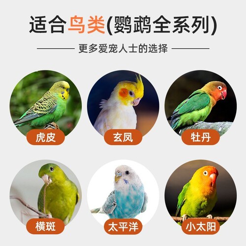 Budgie feed black phoenix bird food yellow millet peony bird food five-color millet mixed bird food can be shipped on behalf of