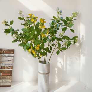 Gֲ𻨆֧@С¼ҾӔ[OYòҹinszӰ