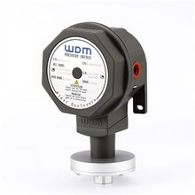 _PGS151S10Z:0.151.7bar^̽ӿ:1/4NPTŃx