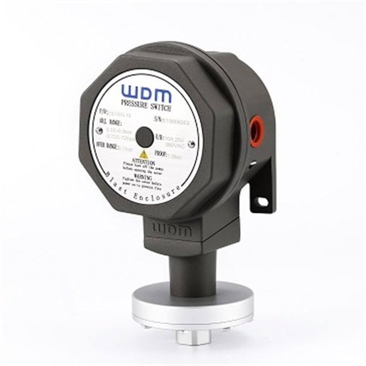 压力开关GS151S10Z量程:0.15－1.7bar过程接口:1/4NPT瑞杜仪表