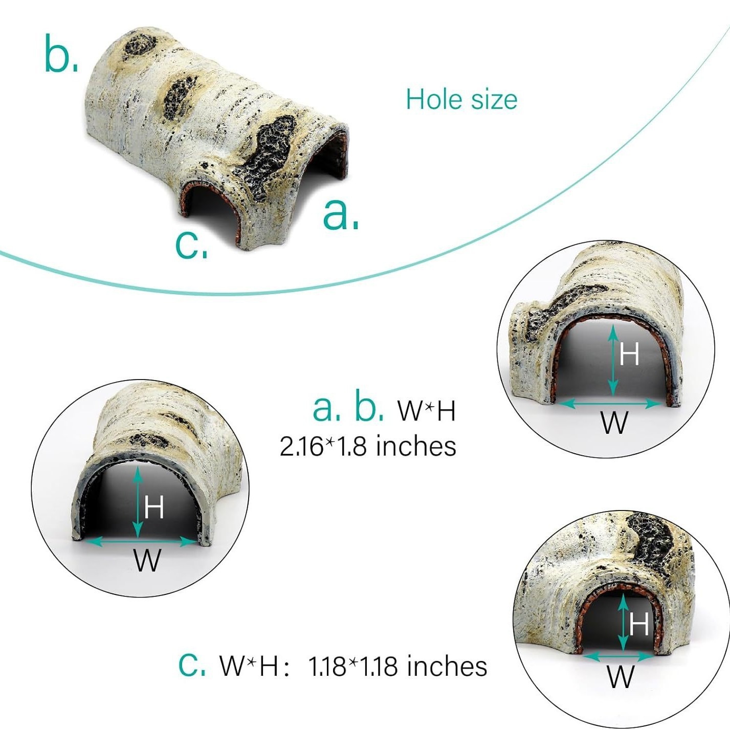Las mascotas trepadoras evitan la cueva, la tortuga, la terraza, la lagartija, el palacio, la casa, el escorpión, la araña, el reptil, el paisaje, la corteza, la plataforma trepadora