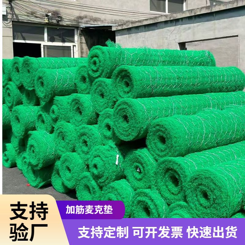 厂家加筋麦克垫热镀锌双绞合六角网人造绿围网固土护坡边坡稳固水