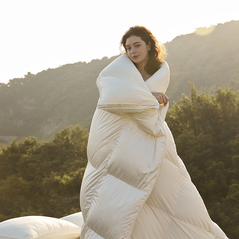 Imported high-end duvet 95 white duck down quilt core is now filled with warm thickened goose down quilt star hotel quilt