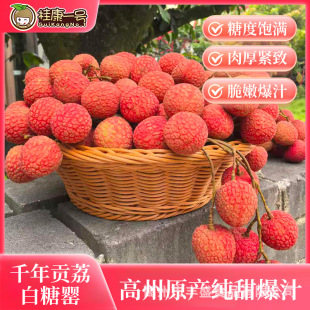 �V�|ï���������r��֦�Fժ�F�l����������Ц��ζ3��/5��/10��