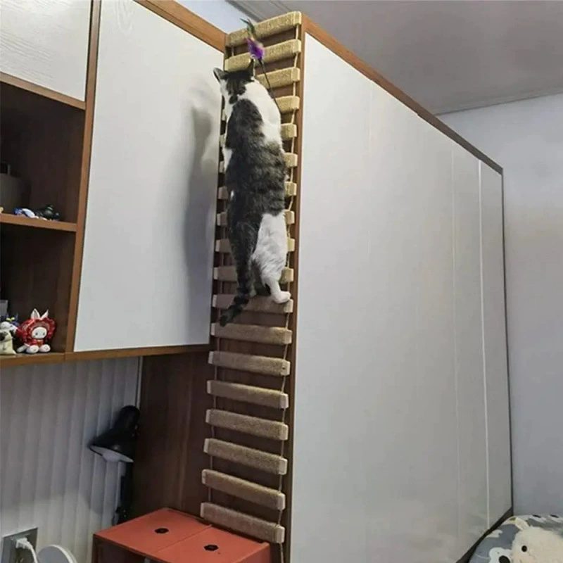 Wall-mounted Cat Climbing Frame, Sisal Hammock & Stairs, Modular Multi-Level Playset