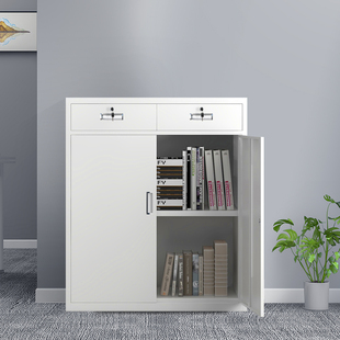 File Cabinet, Data Cabinet, File Cabinet, Bookcase, Two-Drawer Office Drawer Cabinet, Iron Cabinet, Low Cabinet, Storage Cabinet with Lock