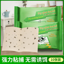 �nω�Nճω�����l�nω��ճω��ճ�ð��nω���ļ������N�羳Ӣ�İ�