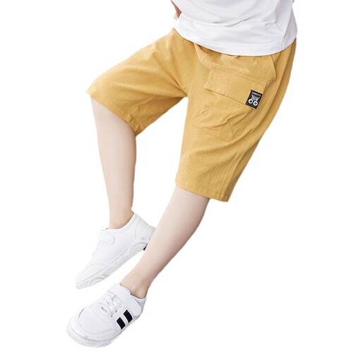 Boys shorts summer thin  new outer wear medium and large children's summer wear sports children's overalls five-point medium pants