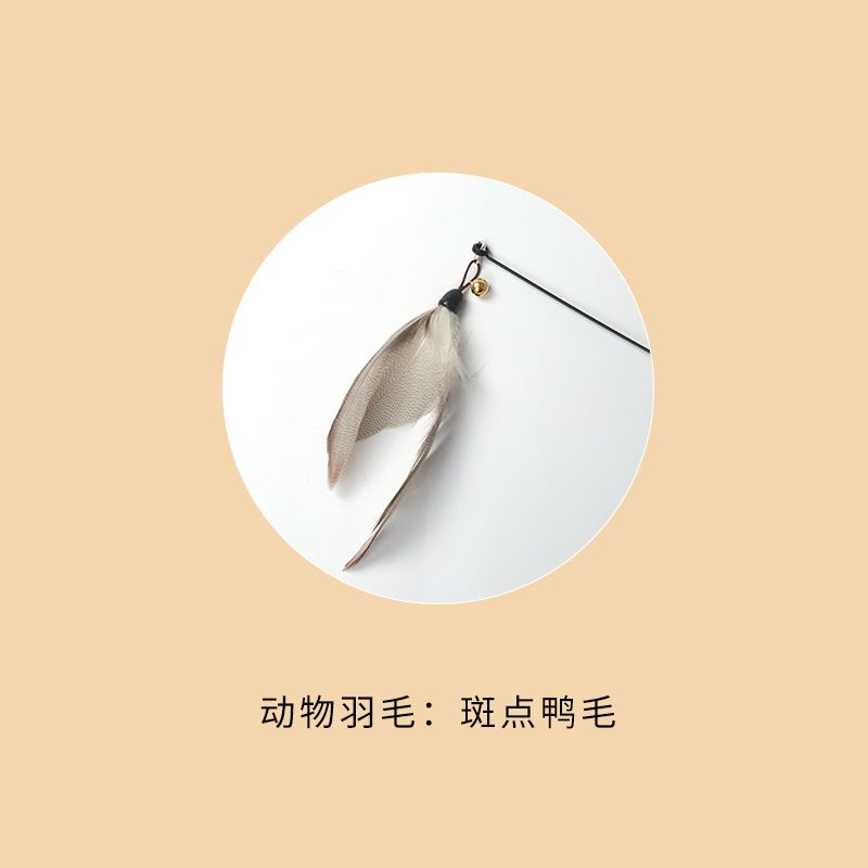 점박이 오리 깃털 교체 헤드-1개
