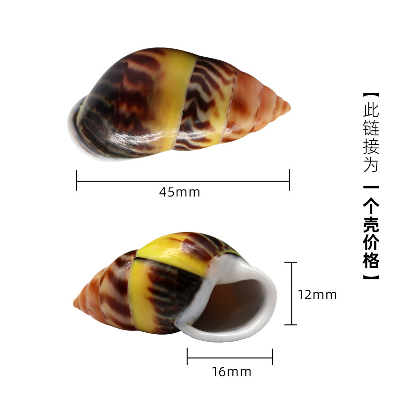 2-3cm 크기의 게에 적합한 주황색 X92 불꽃 달팽이