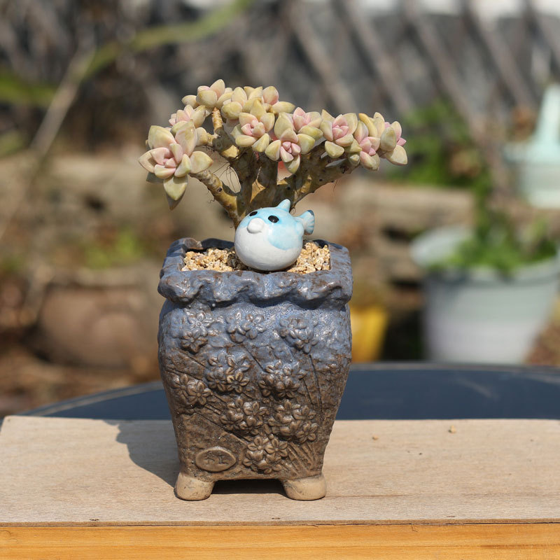 Succulent Plant old pile flower pot relief stoneware matte pink desktop distressed pot retro group cliff gap Succulent Plant old pile flower pot relief stoneware matte pink desktop distressed pot retro group cliff gap