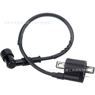 Off-Road Motorcycle Atv Four-Wheel Beach Bike Accessories Cg125 150 200 250Cc High-Voltage Ignition Coil