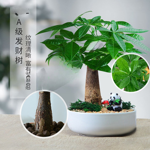 lֲؔ҃k[Gֲֲؔ￨ͨС