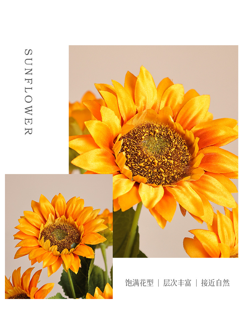 美美单枝向日葵_06.jpg