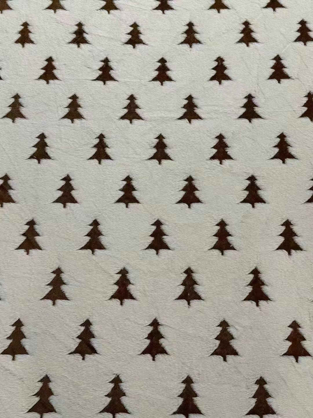 微信图片_20241018062149