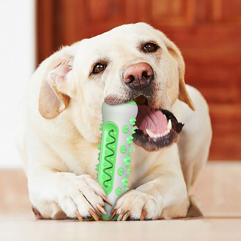 新款宠物狗牙刷磨牙洁齿狗狗耐咬洁齿漏食玩具宠物清洁用品