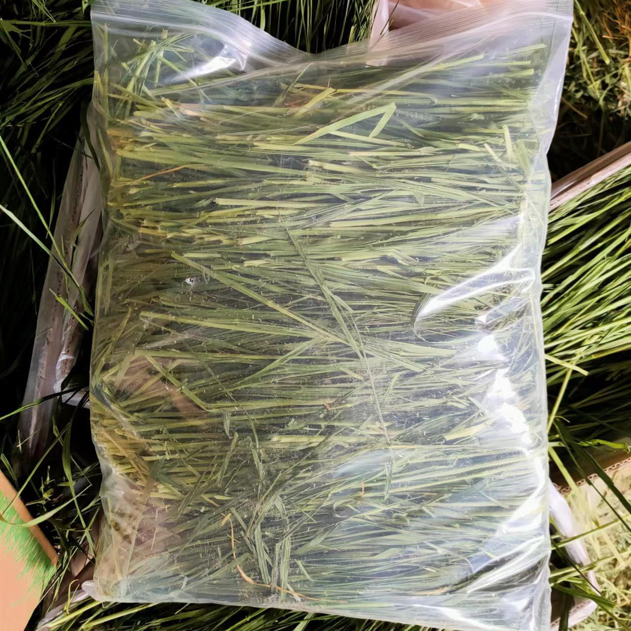 ddd792572b248d94ac77af3af215d5