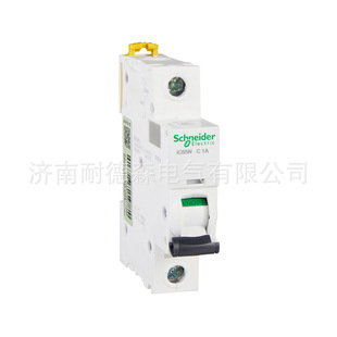 Schneider Ic65N/H/L Series Micro Circuit Breaker Short Circuit Protection Switch Household Air Switch