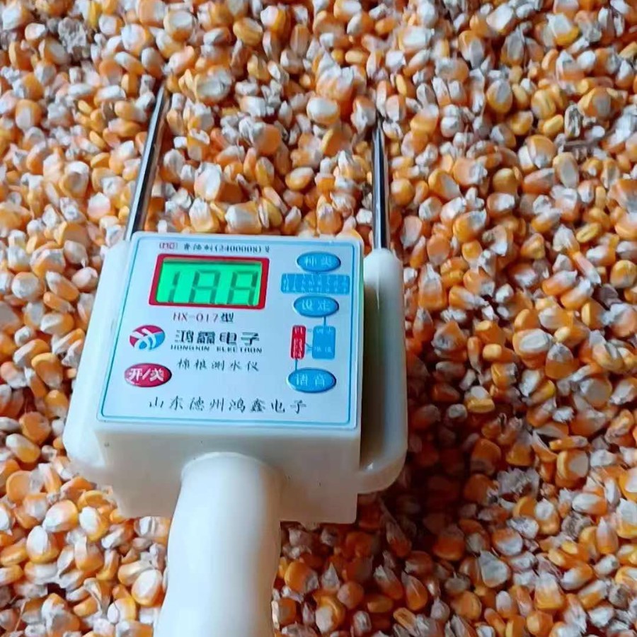 粮食水分测量仪高精度小麦快速水份测试仪玉米测定仪油菜籽水分仪
