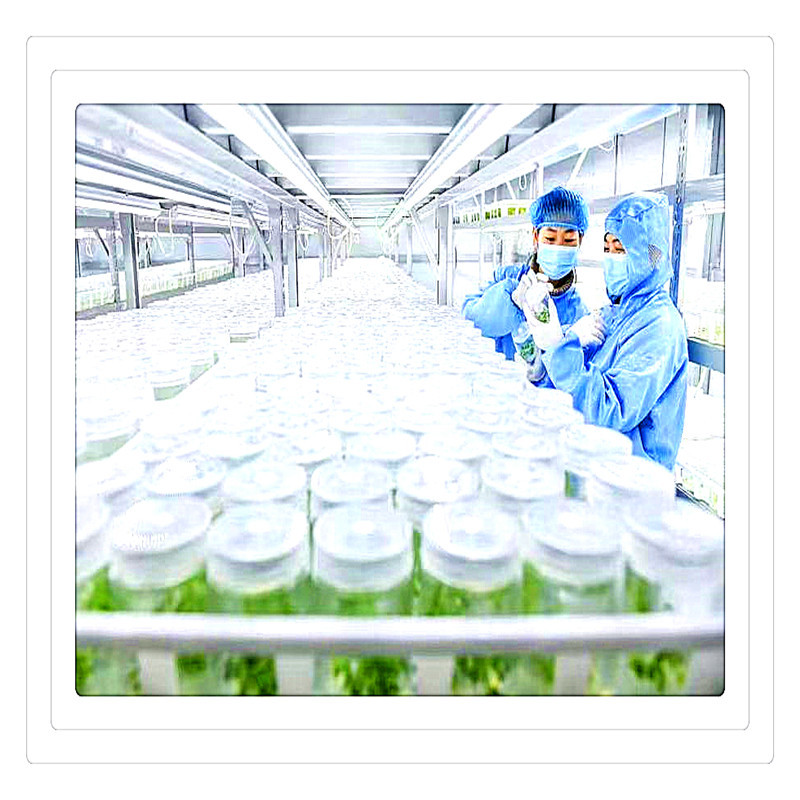 2a74ea02567724926bafb02c6039db