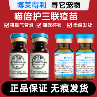 ���R���������o؈������؈��֧��؈���ߚ����؈���������