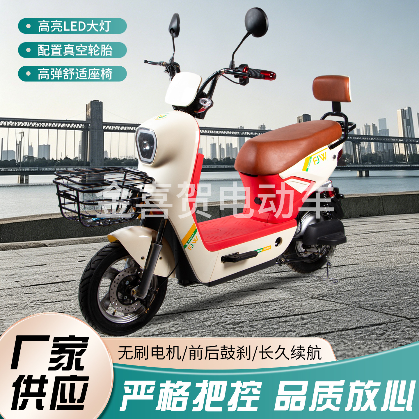 electric bike for adults
