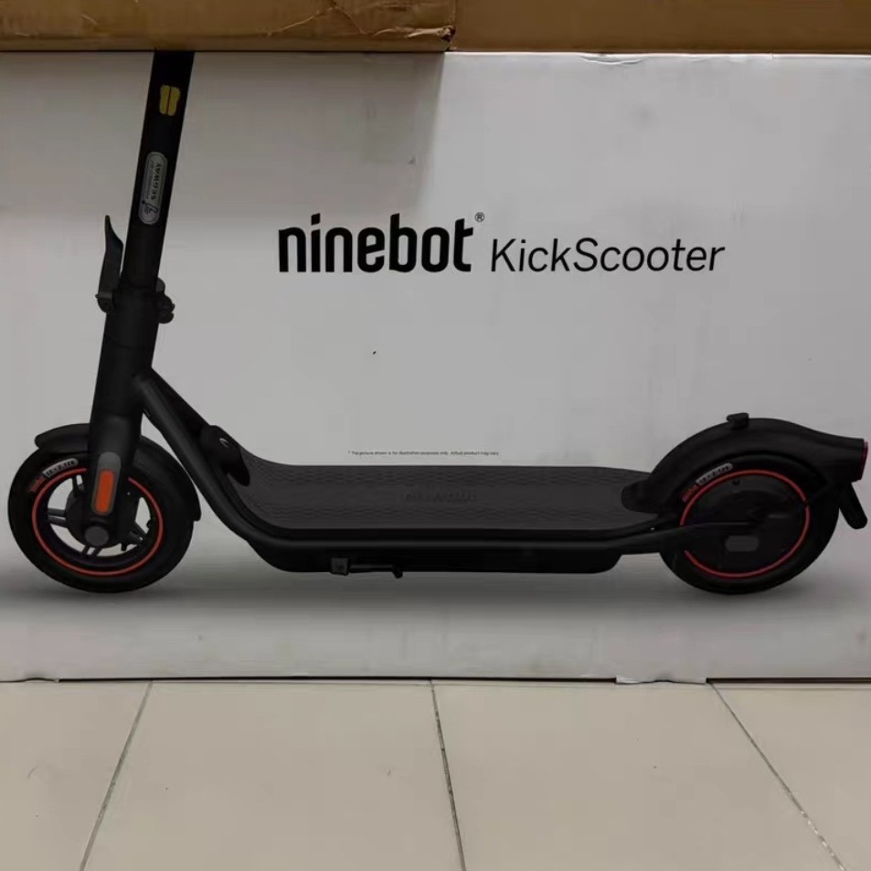 Электрический самокат Ninebot LX-0010 G65e