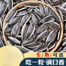 ӿ؛363شwɢb5ѬFԭζӳ