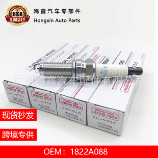 1822A088 �羳㞽���� �m���������� ���{ ���� DILKR6D11G