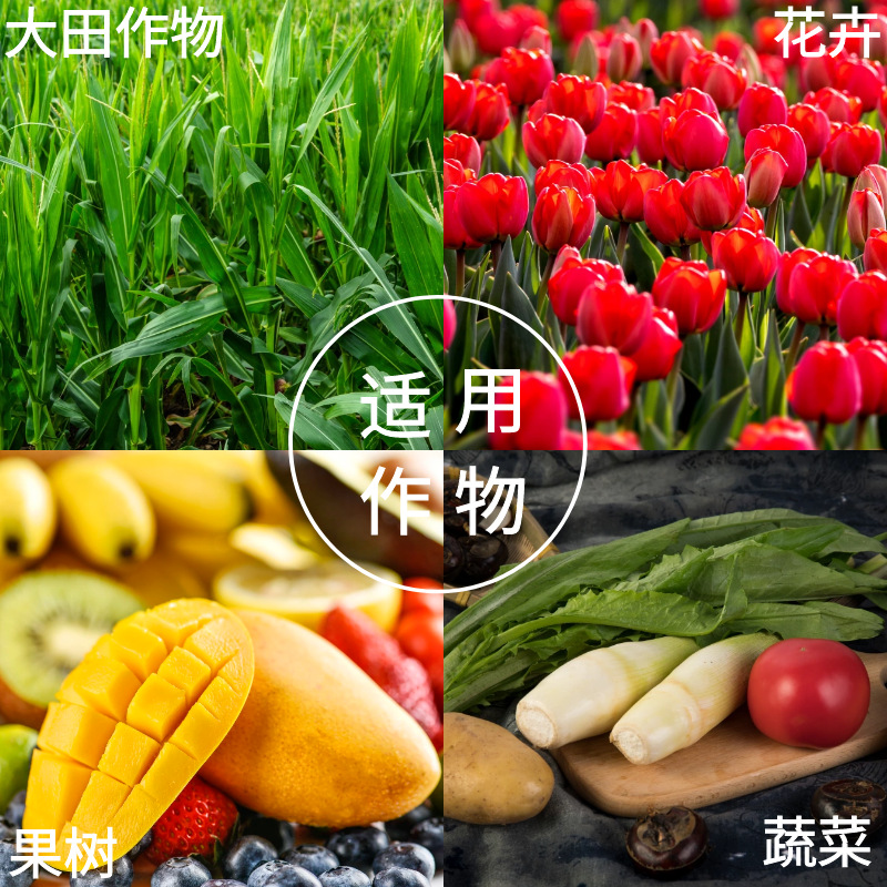 O1CN019ax0351NLmBWr0Yvp_!!2207