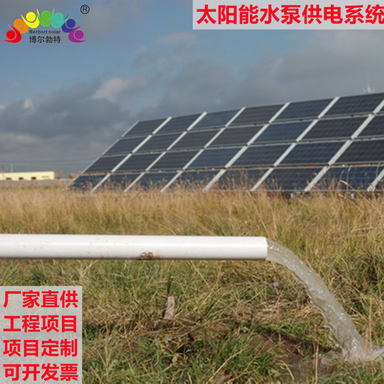 博尔勃特太阳能河道曝气增氧 林业沙漠灌溉 太阳能水泵供电系统