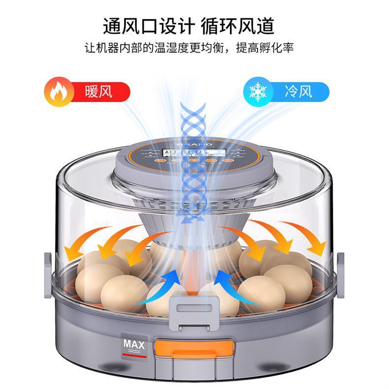 家用小型孵化器 孵化-出雏-育雏