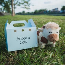 �羳�¿� Cow Plushie ��ţë�q��� ��ë�q���жYƷ��ż