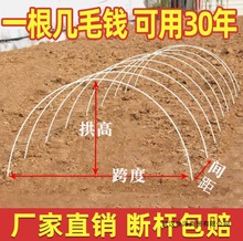 wSUr֧ΗlˇعμܱůС߲﹭wS