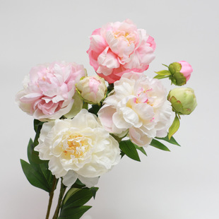 �����P��ĵ�� ���^����¶ɏ �Ҿ��b��滨 �Ĕz���߻��bٻ�