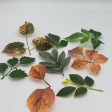 Դ�^�S�����l����Gֲ�zӡ���~��ݮ�~�lؔ�~�o�������X�~���~