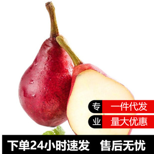 农家正宗陕西红啤梨新鲜梨子水果多汁当季红皮梨产地整箱包邮-阿里巴巴