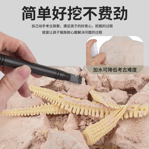 Dinosaur fossil toys archaeological excavation diy production Tyrannosaurus skeleton model children's treasure digging blind box 6 boys
