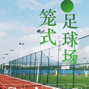 Cage football field lawn non-charging artificial lawn football field artificial lawn school fake turf