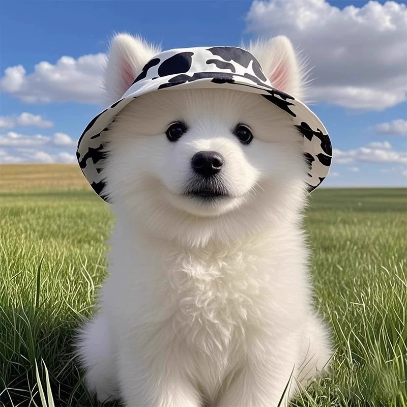 Шляпа для домашних животных, шляпа рыбака для кошек, собак, коров, уличная шляпа с открытым ухом, самоедский бишон, шиба-ину, летняя шляпа от солнца